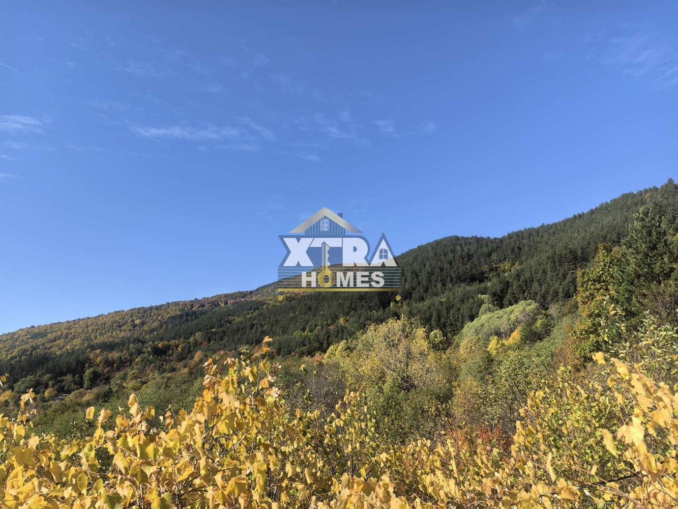 Къща в село Свидня - 0